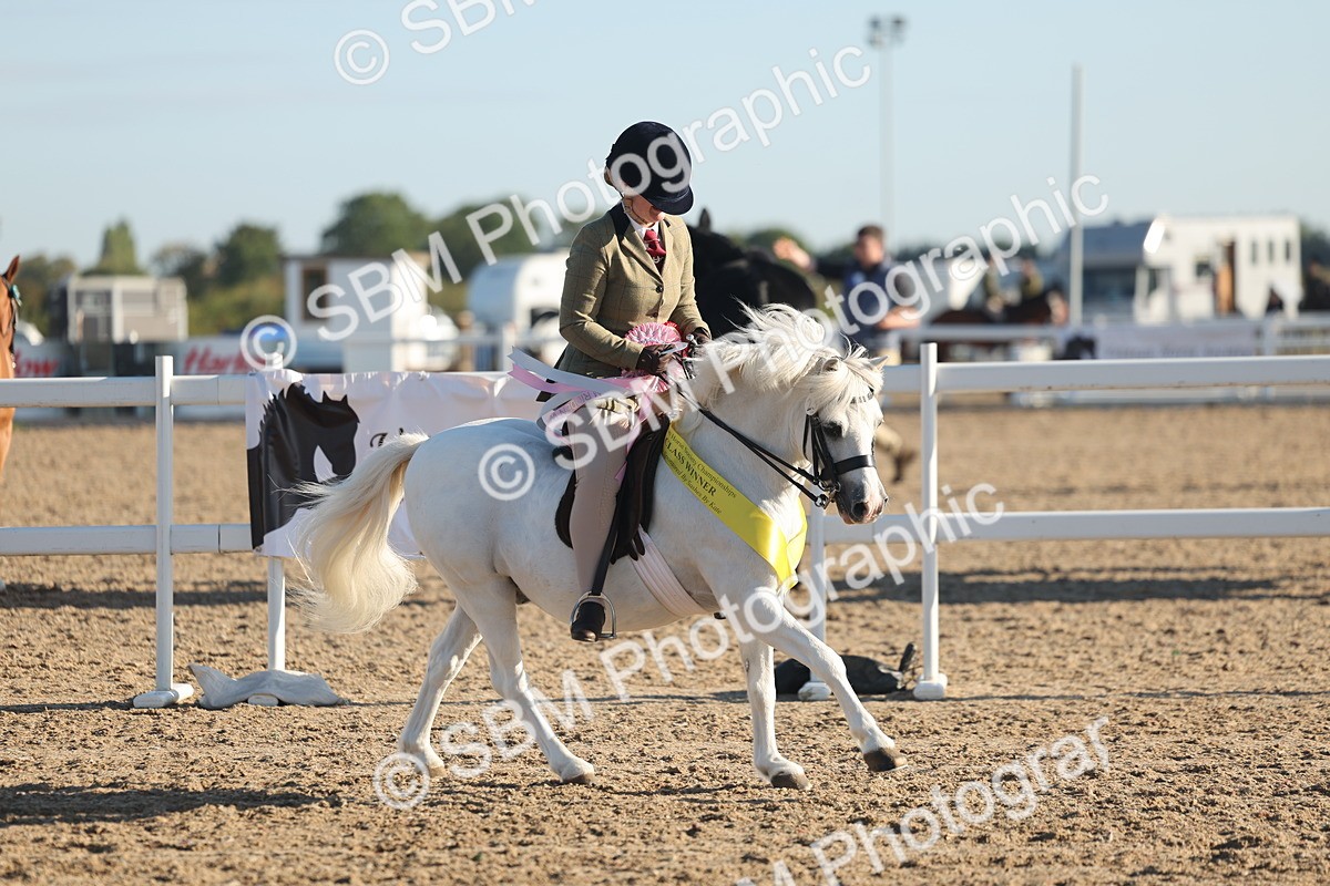 SBM_10943 - Class 301 - Ridden M&M Small Breeds