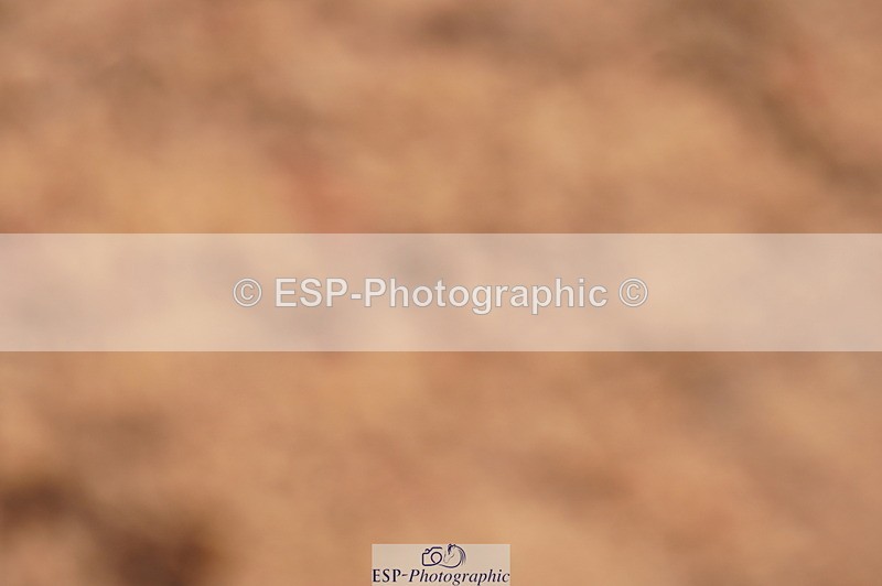 240628A-174902-00629 - Cls 2 Intro 90cm