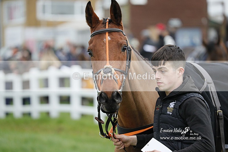 PtP 271122 196 - Hursley Hambledon Hunt Point-to-Point - Larkhill - 27/11/22