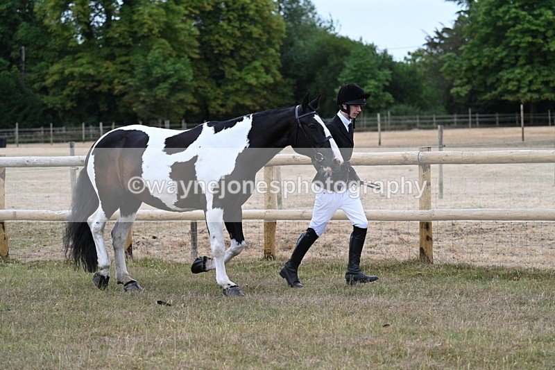 WJ7_8833 - Class 4a Prettiest Mare 14.2hh and over
