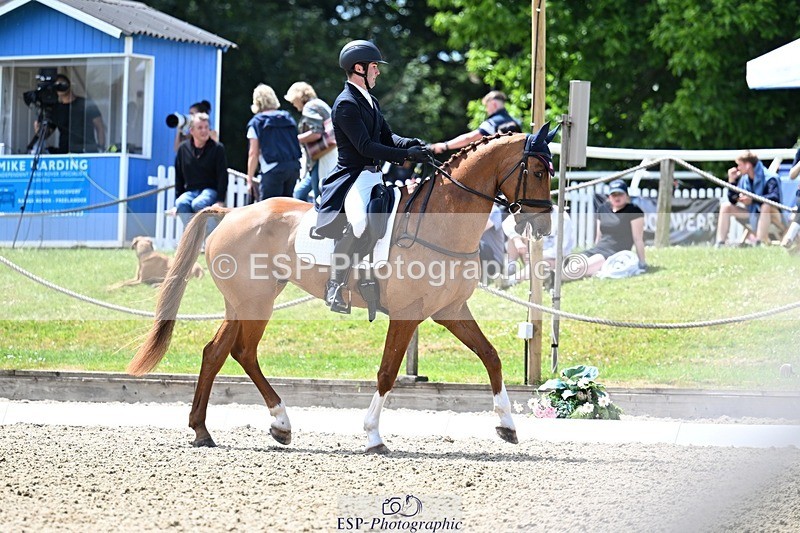 260529A-134047-10496 - G-773-Tommy.Greengard