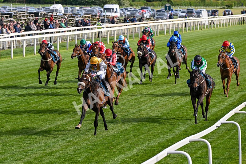 140526-Race 7-Arc Ole Ole-0404 - Race 7 5.15pm Frank Whittle Partnership Handicap