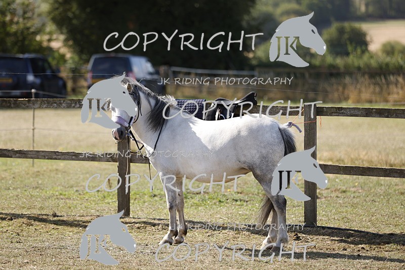 _R6A0830 - GENERAL PHOTOS