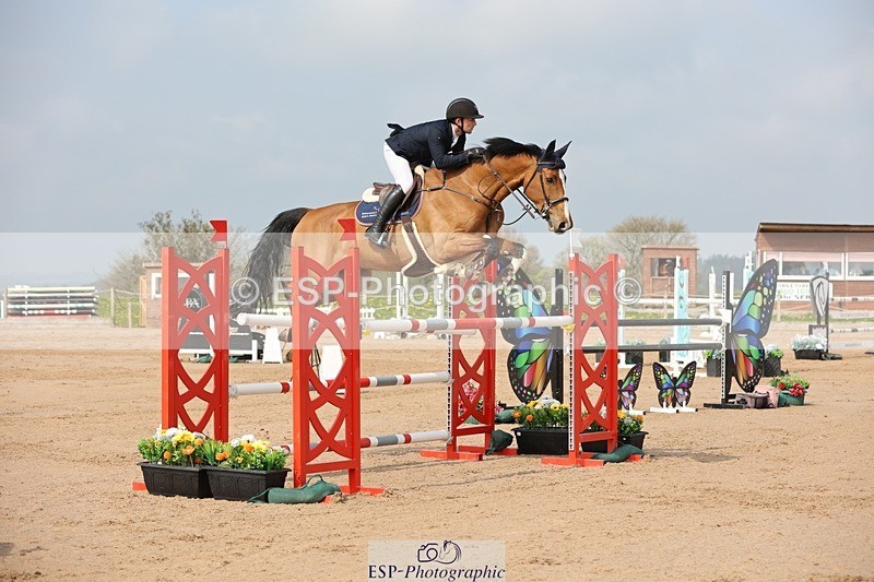 250424-103537-03115 - Cls 33 Young Horse 7yr old