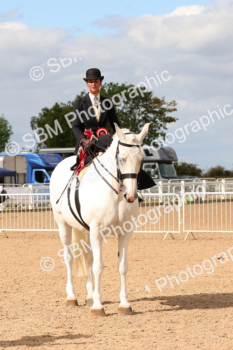SBM_15918 - Class 216 - Best Side Saddle Horse-Pony
