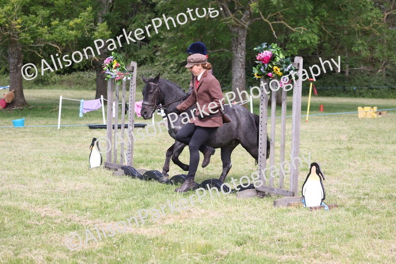 20260614-0582 - Class 20 - Beginners Working Hunter Pony