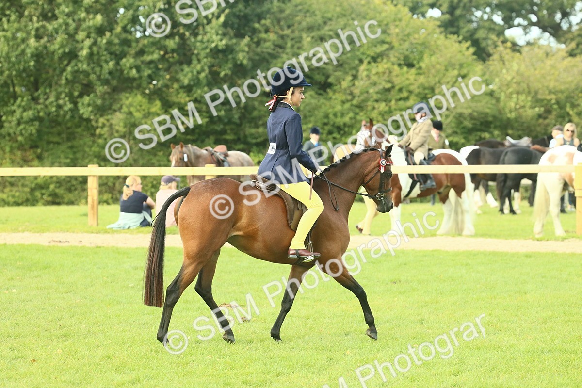SBM_68082 - S57 - Part Bred Pony Ridden