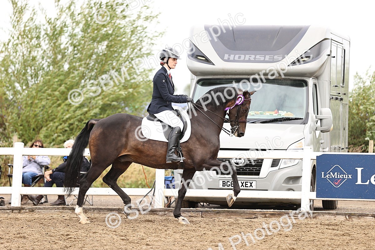 SBM_01467 - Class 54 - Riding Club Horse Pony