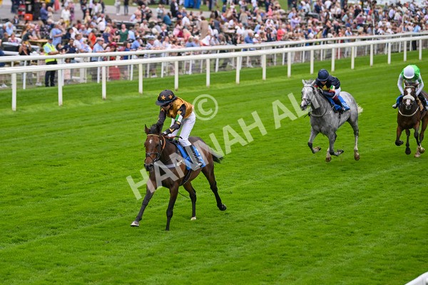 080925-Pony Racing-Shes A Corker-7038 - Pony Racing 1.45pm Dragon (TV and Film) Studios Pony Race 148cm & Under