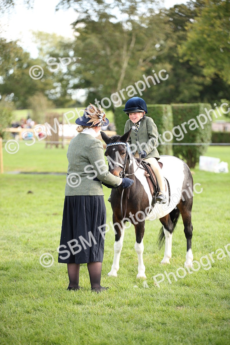 SBM_54279 - S27 - Mature Veteran - Ridden