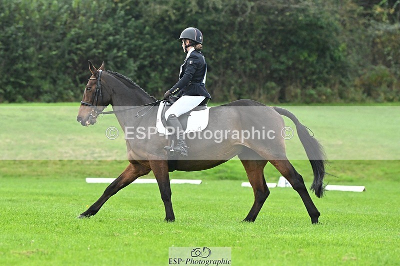 241024-114549-03311 - 509-Tichy.Sanders-SPARHANGER.VELVET