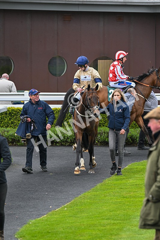 240424-Race 2-Restless Prince-7761 - Race 2