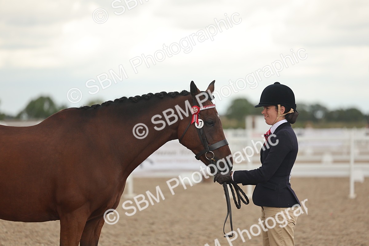 SBM_07658 - Class 26 - IH Foreign Breeds - Part Bred