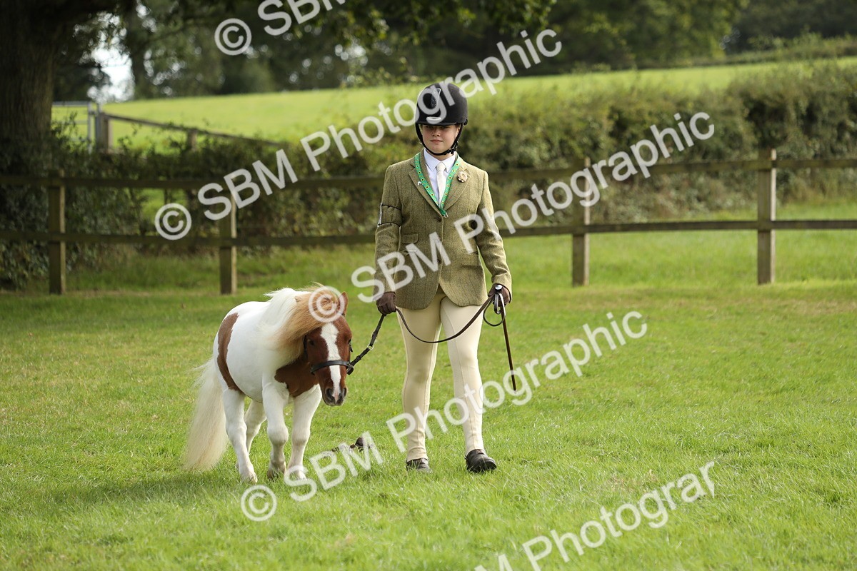 SBM_68528 - S40 - Junior Handler 9-12 Years