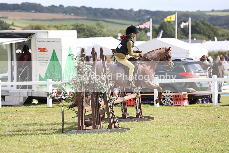 JPP_2839 - Class 20: Working Hunter 70cm