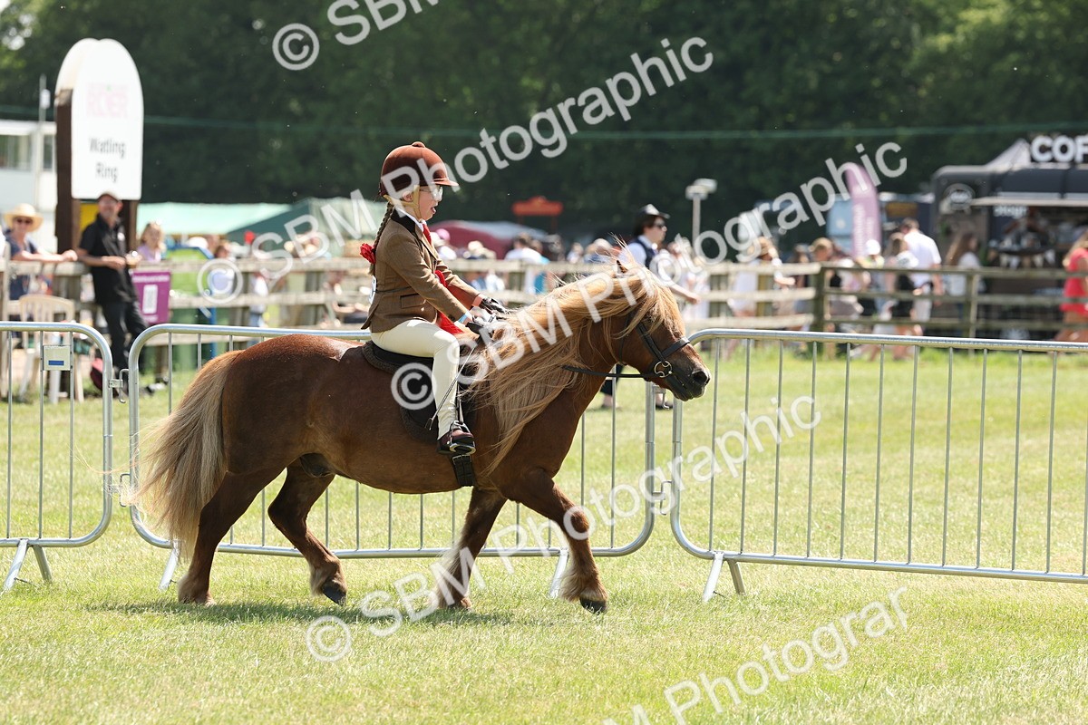 SBM_05383 - Class 24-25 - Mountain & Moorland In Hand Lead Rein and First Ridden