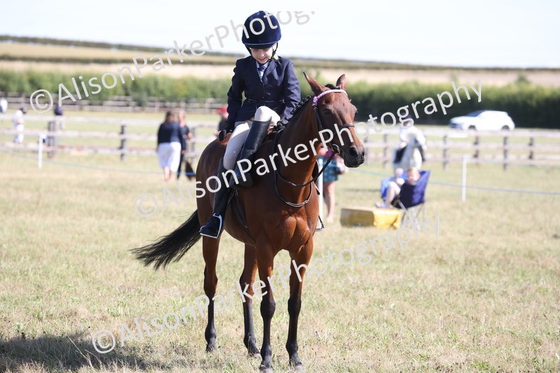 20260906-2251 - Class 16 - Family Pony