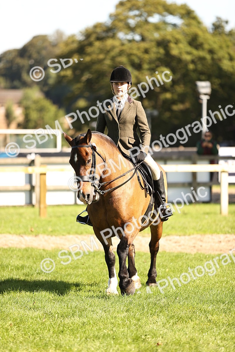 SBM_19120 - S3 - TSR Ridden Pony Showing
