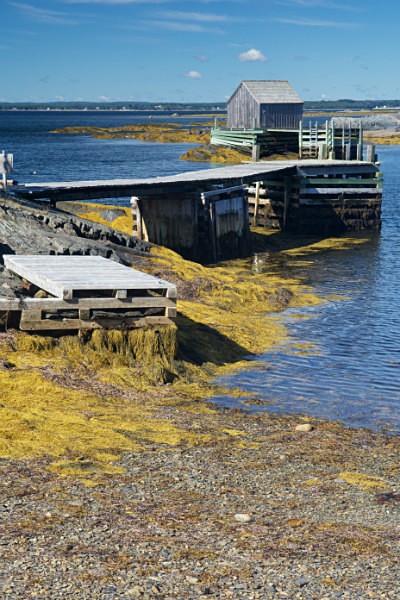 Blue Rocks, Lunenburg - Nova Scotia, Canada