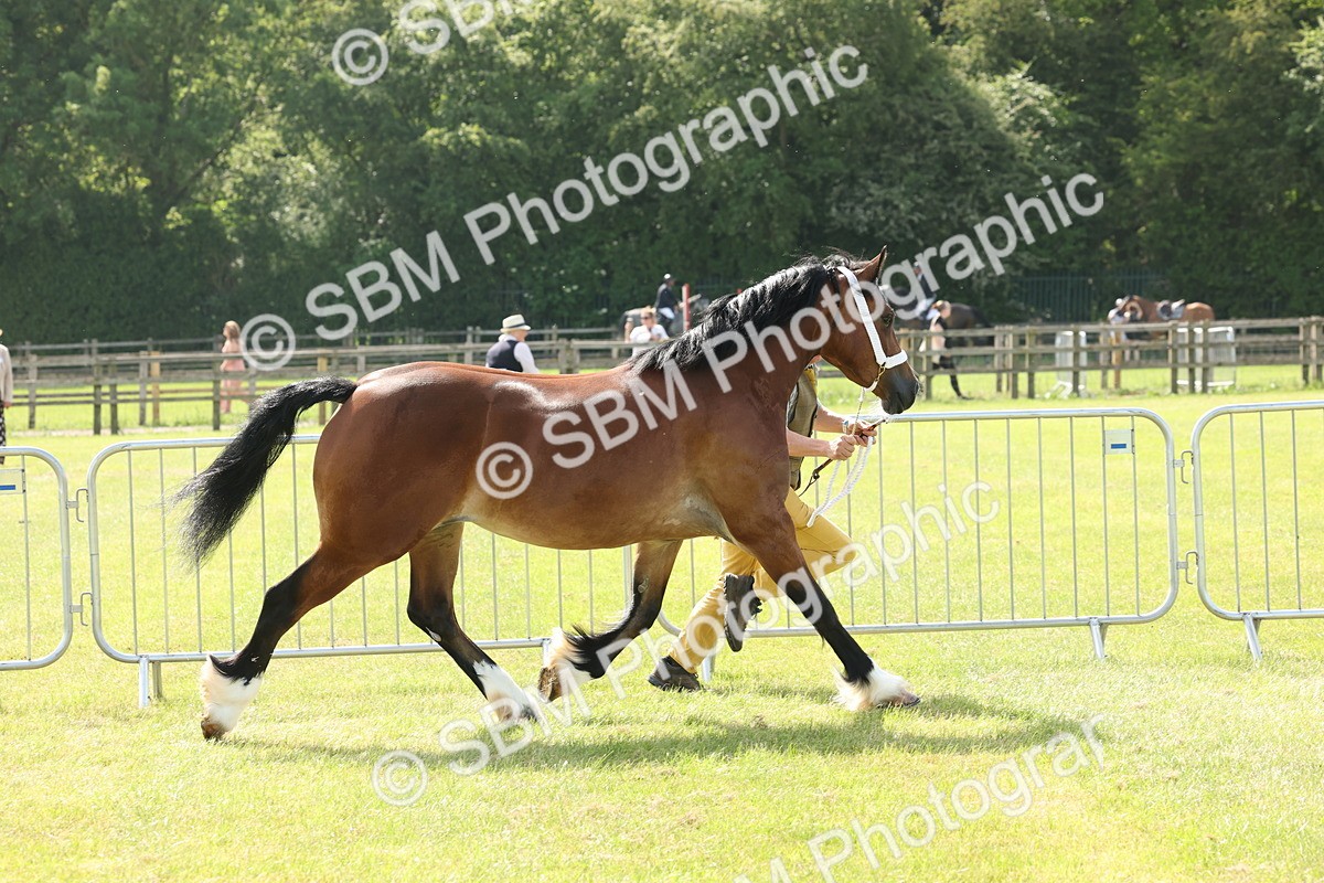 SBM_02246