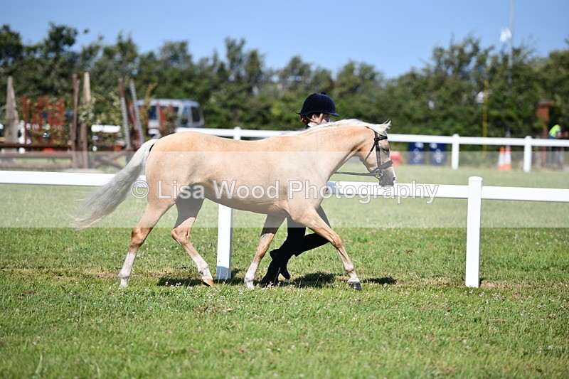 DSC_6434 - Class 53: NPS M&M 4 years and over Small Breeds