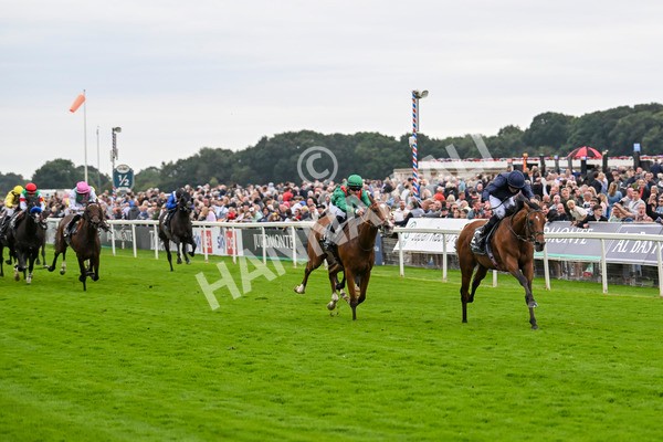 210824-Race 4-City Of Troy-5112 - Race 4 3.35pm Juddmonte International Stakes