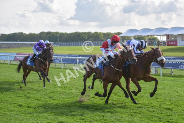 yr13052021r7-34 - Race 7 4.50pm Autohorn Stakes