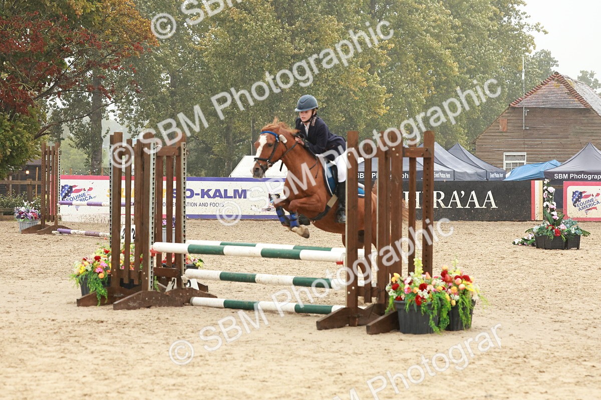 SBM_73350 - Supreme Championship Junior Pony 60cm & 65cm
