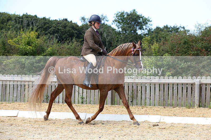 1X9A8341 - Class 13: Arab Ridden