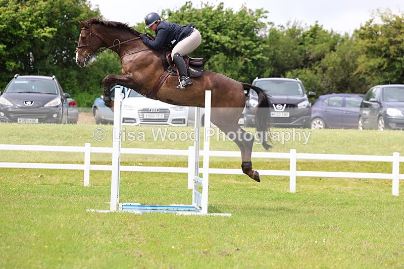 3E7A7088 - Class 12: Senior Foxhunter/1.20 open