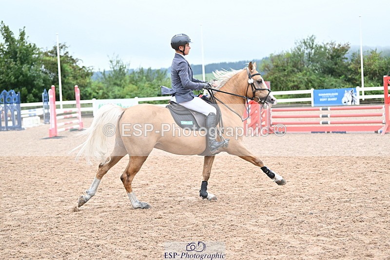 240908A-105221-03162 - Cls 18 A&B Pony Brit Nov & 80 Opern