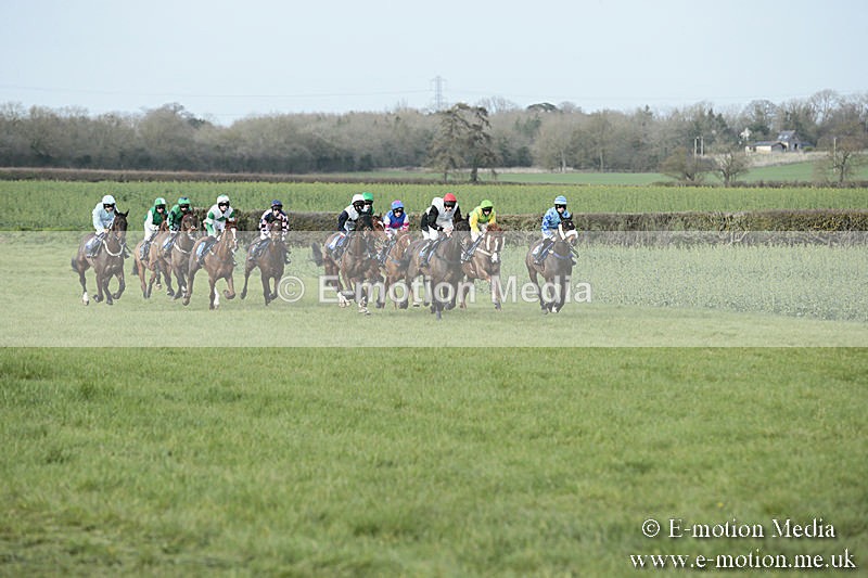 PtP 230319 395 - VWH Hunt Siddington Point-to-Point Racing 23/03/19