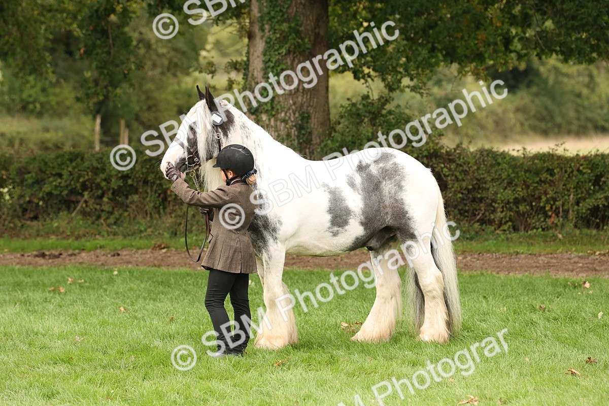 SBM_59348 - S57 - Traditional Cob In Hand
