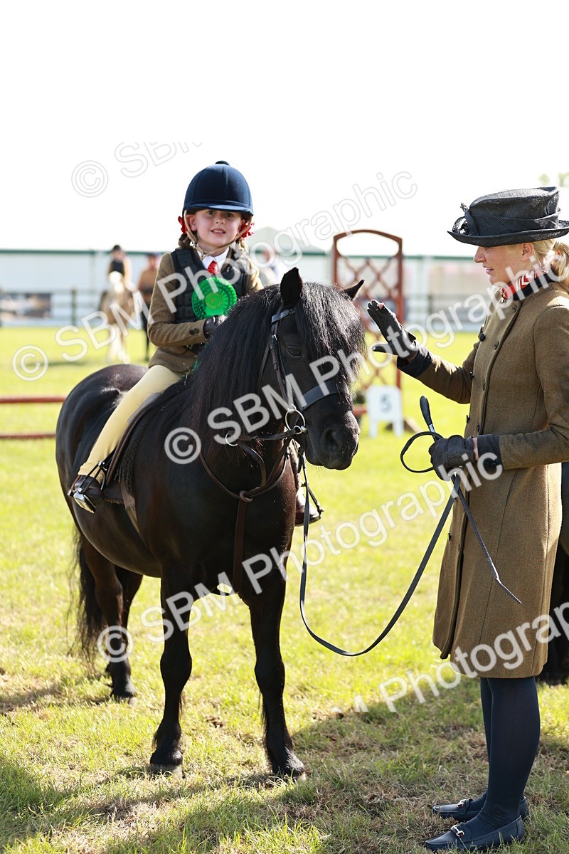 SBM_11313 - Class 106-107 - BSPS LIHS Working Sports Pony