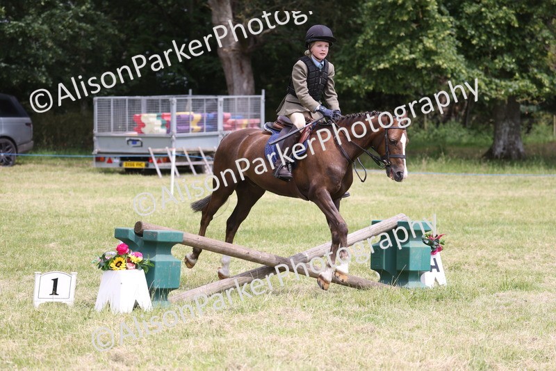 20260614-2842 - Class 22 - Open Working Hunter
