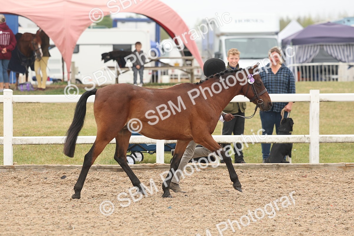 SBM_00513 - Class 13 Young Handler