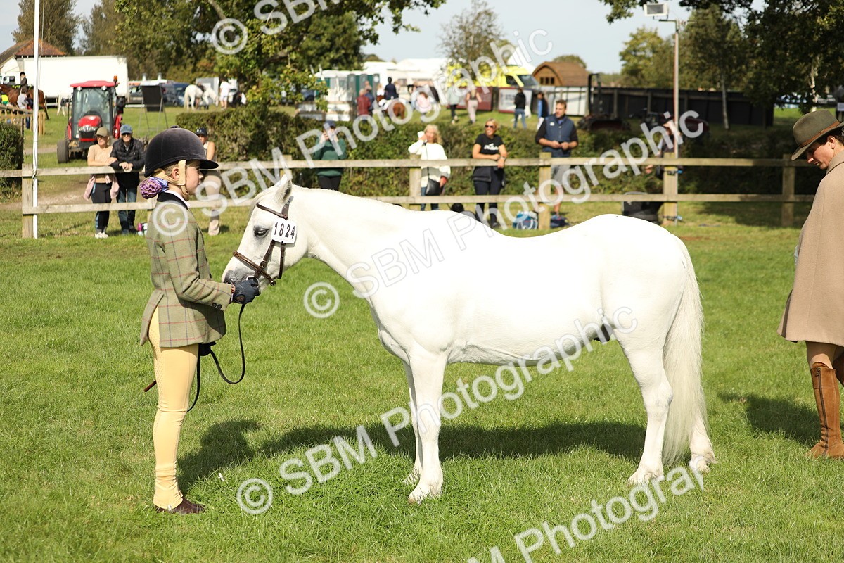SBM_68598 - S40 - Junior Handler 9-12 Years
