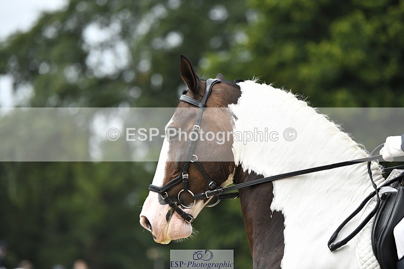 230812-123555-04153 - Cls 6 Novice Silver 12.10 to End