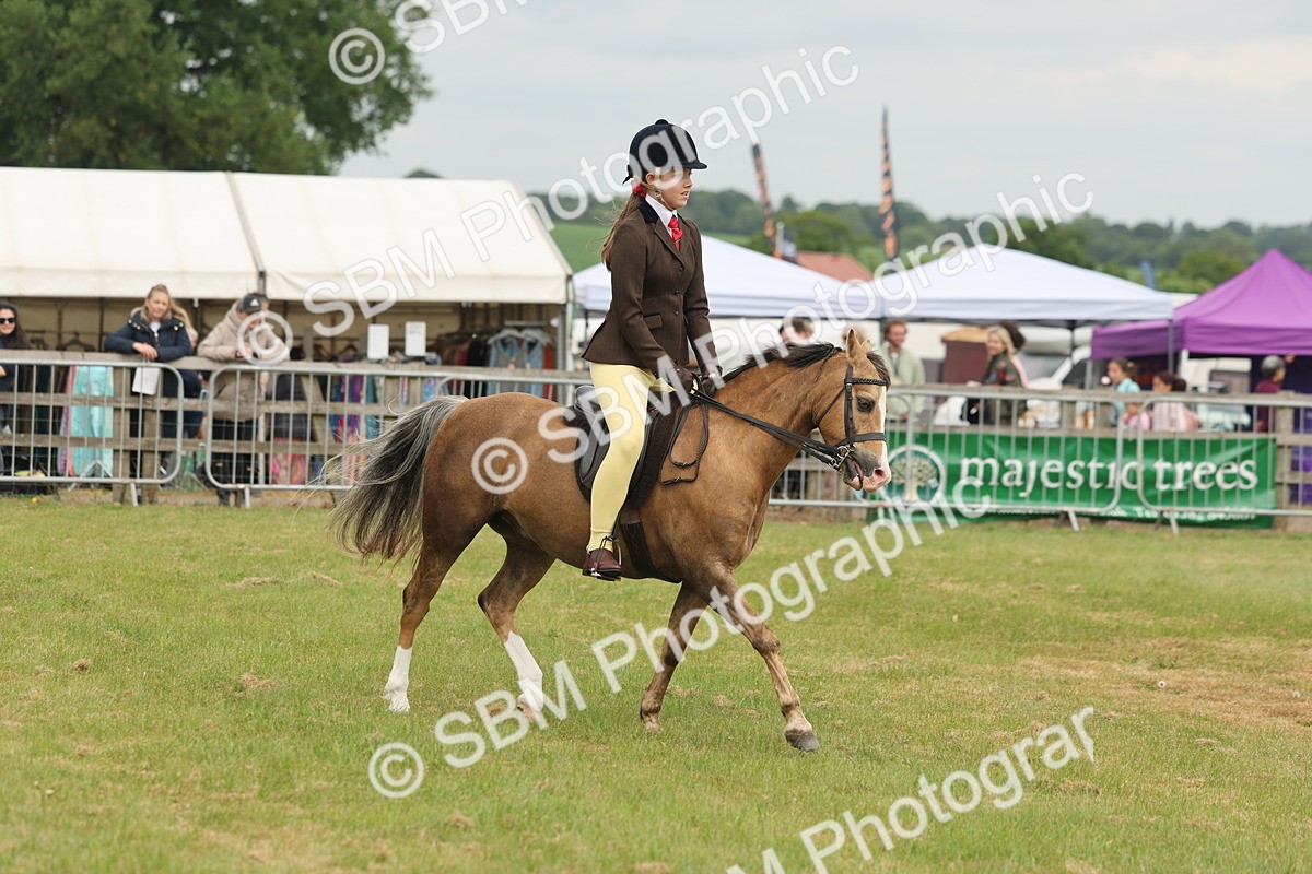 SBM_07103 - Class 76-77 - Ridden M&M Welsh Ponies
