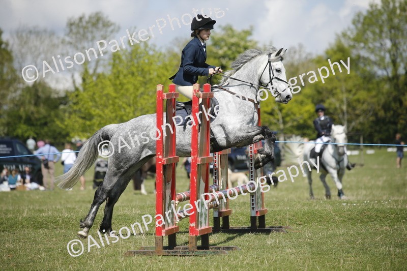 20250427-3460 - Class 14 - Absolute Novice 70cm