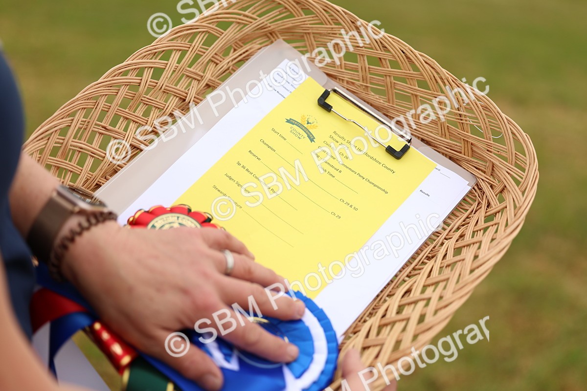 SBM_04261 - Class 64-67 - Shetland Pony In Hand