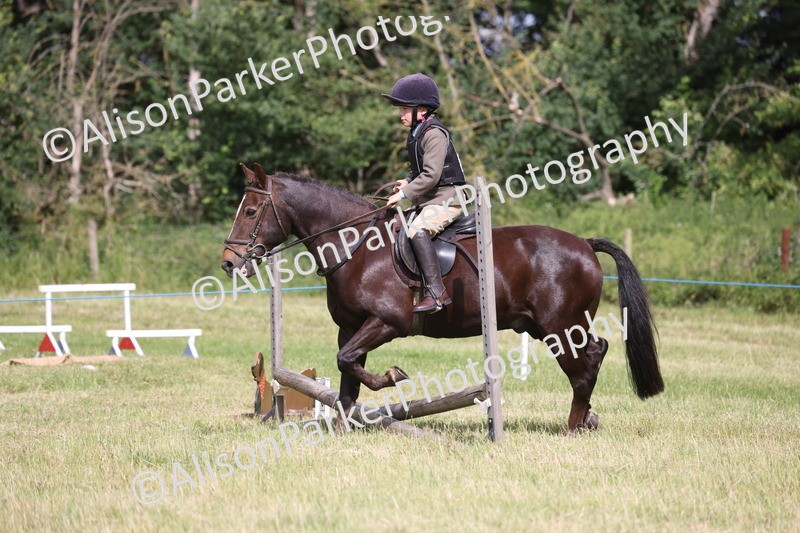 20260614-0519 - Class 20 - Beginners Working Hunter Pony