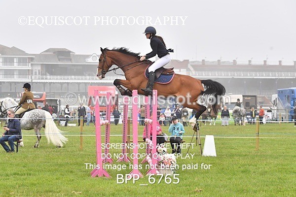 BPP_6765 - CLASS 2 RHS Classic Champ Qual (1.20m)