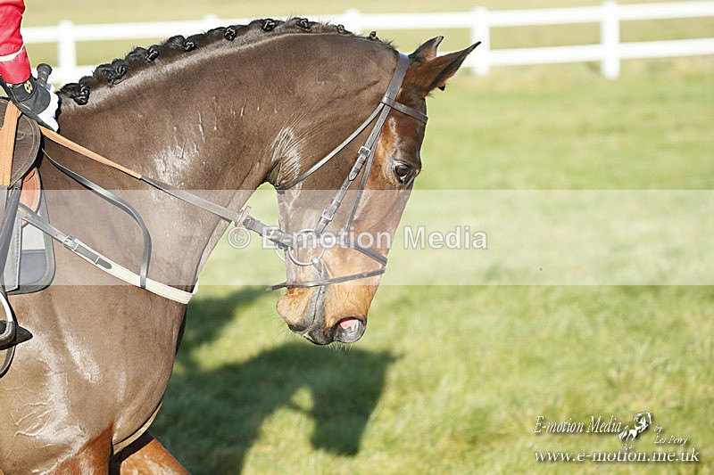 PtP 121220 275 - Avon Vale Races Larkhill 12/12/20