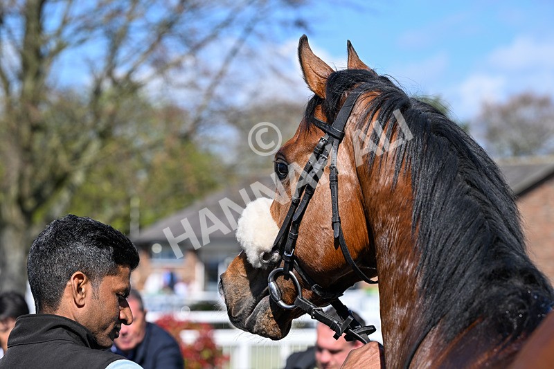 100426-Race 1-Where Love Lives-2757 - Race 1