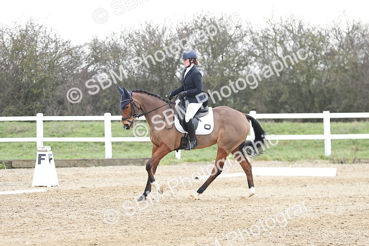 SBM_004330 - Novice 1