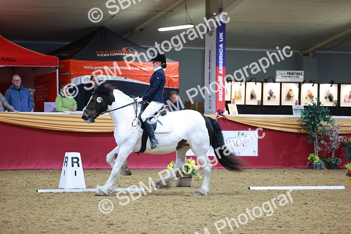 SBM_06637 - Class 61 - Dressage to Music