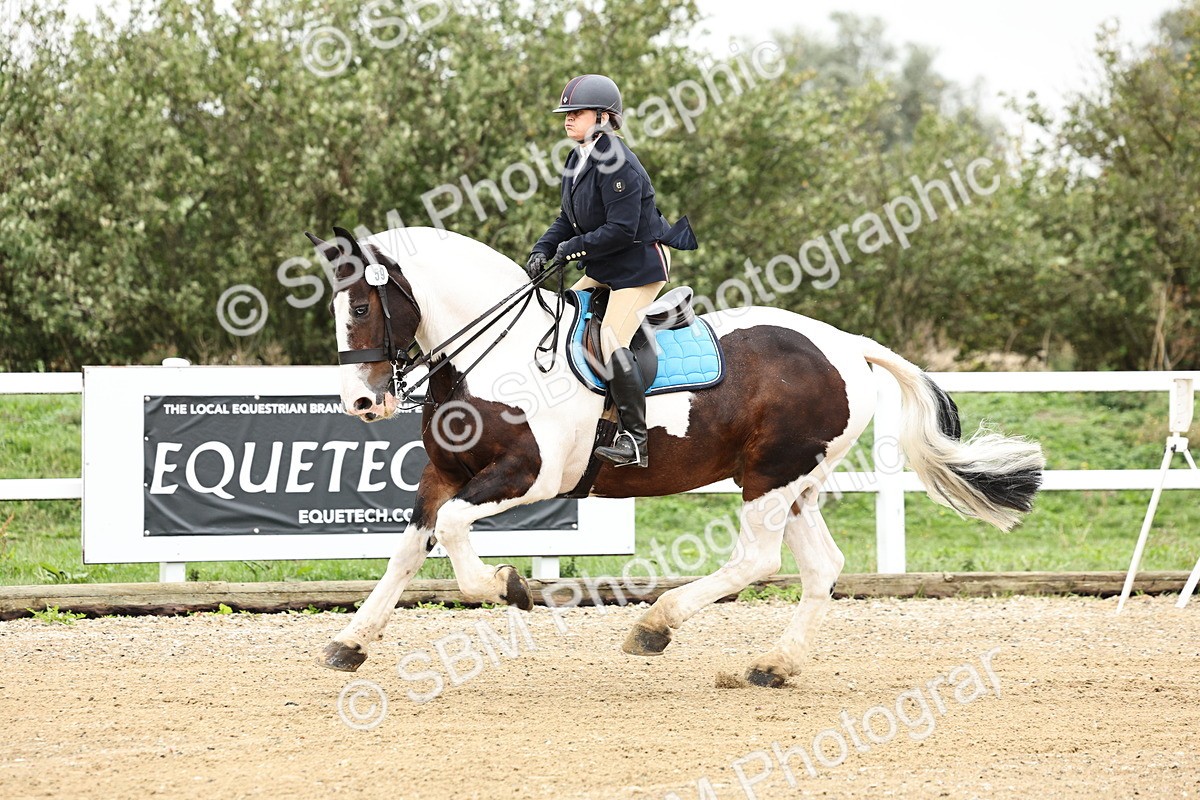 SBM_006317 - Class 74 - 85cm