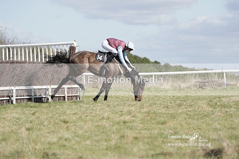 PtP 260223 473 - South & West Wilts Point-to-Point Larkhill 26/02/23