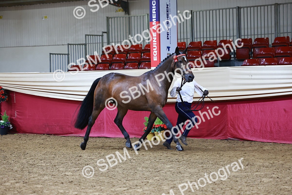 SBM_22149 - Class 902 - Supreme Final - IH Diamond